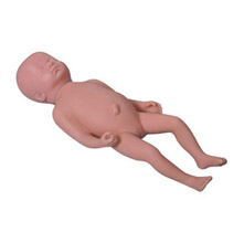  高級足月胎兒模型KAR/Y1  
