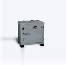 上海恒字電熱恒溫干燥箱GZX-DH.300-BS 