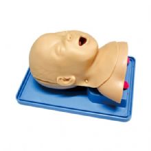  高級嬰兒氣管插管訓練模型KAS-15-2  嬰兒的舌,口咽, 會厭,喉,聲帶和氣管的真實解剖